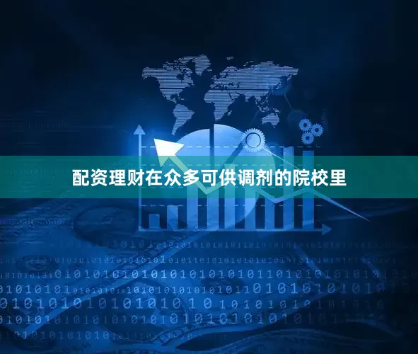 配资理财在众多可供调剂的院校里