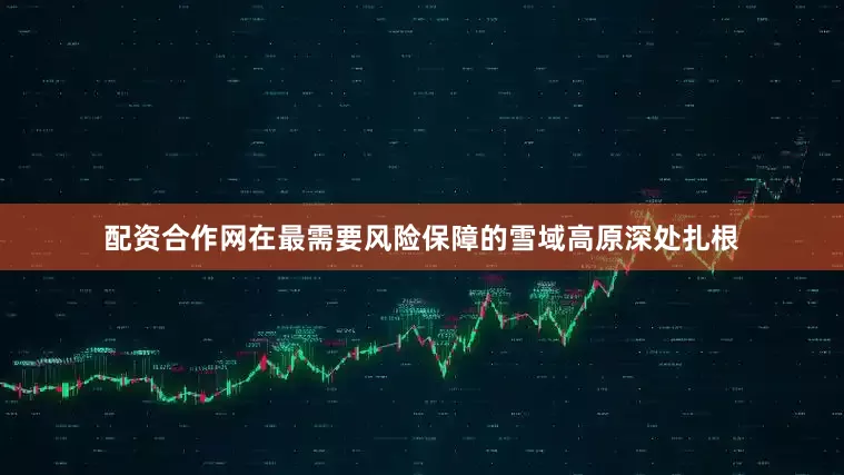 配资合作网在最需要风险保障的雪域高原深处扎根