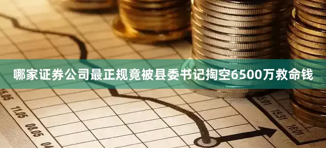 哪家证券公司最正规竟被县委书记掏空6500万救命钱
