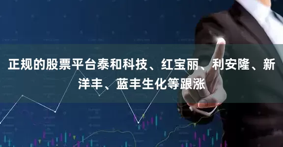 正规的股票平台泰和科技、红宝丽、利安隆、新洋丰、蓝丰生化等跟涨