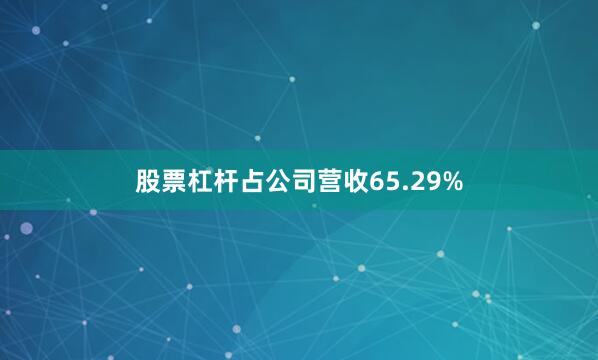 股票杠杆占公司营收65.29%