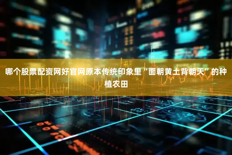 哪个股票配资网好官网原本传统印象里“面朝黄土背朝天”的种植农田
