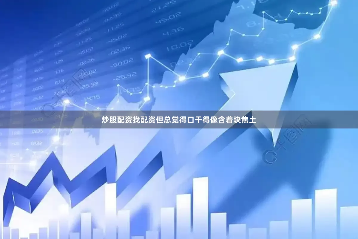 炒股配资找配资但总觉得口干得像含着块焦土